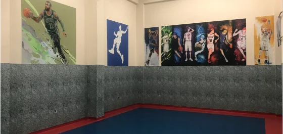 Spor Salonu Ses Yalıtımı - Keçe Panel - Keçe Duvar Kaplamaları - Akustik Keçe Panel - FELTBİ